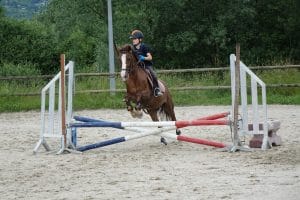 Ecole d'équitation Galop 1-3