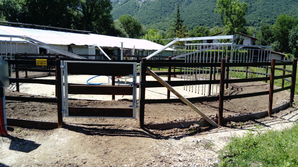 Un marcheur capacité 6 chevaux